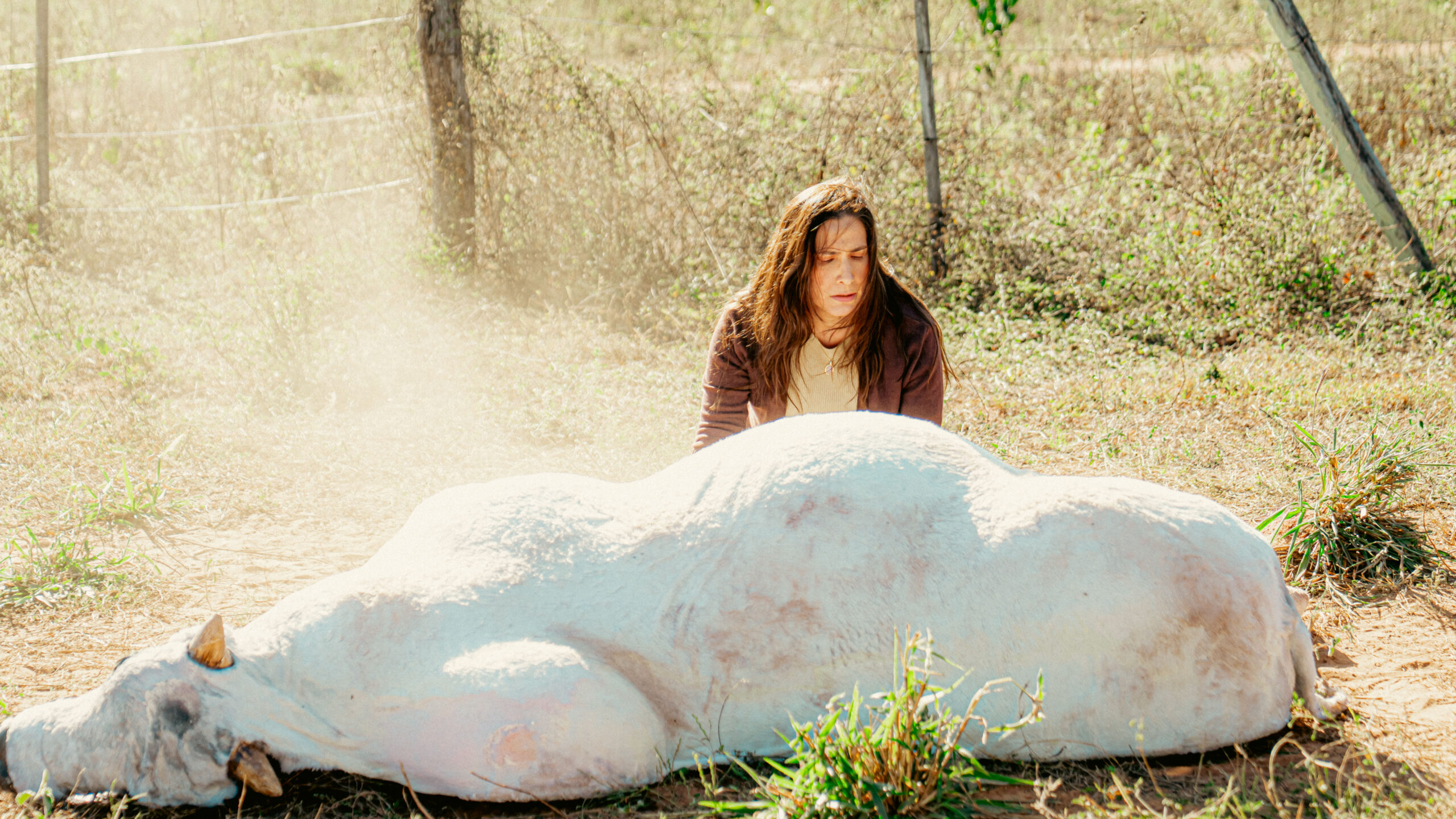 Ensaio sobre a Verdade _ filme